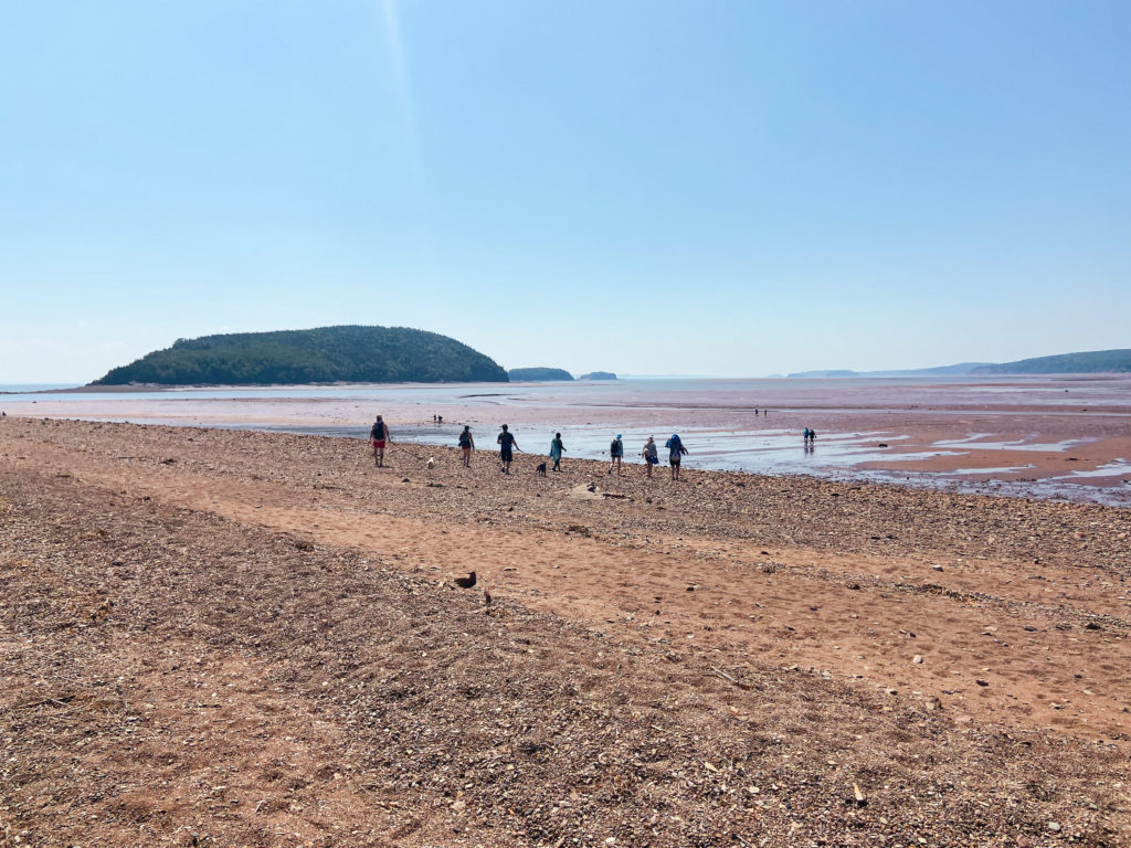 TWO PAW FECT DAYS IN THE BAY OF FUNDY NOVA SCOTIA WITH YOUR DOG   IMG 3754 1024x768 